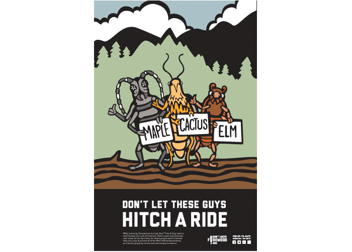Don't Move Firewood Poster