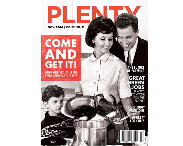 Plenty Magazine Cover