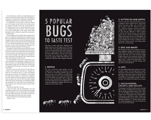 Plenty Magazine Spread 3
